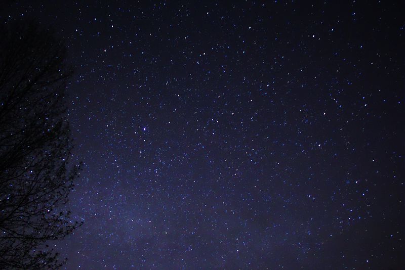 800px-night_sky_stars_trees_03